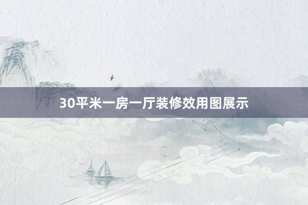 30平米一房一厅装修效用图展示